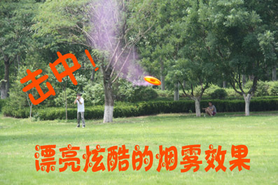 电子飞靶，又称电子飞碟，电子飞盘，是新一代的娱乐新项目。